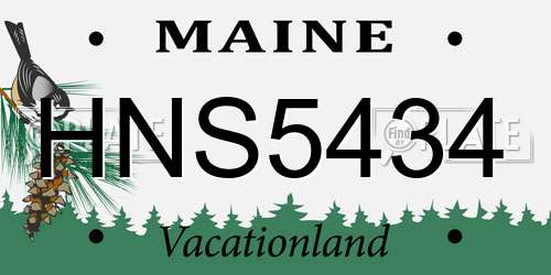 HNS5434 Maine License Plate