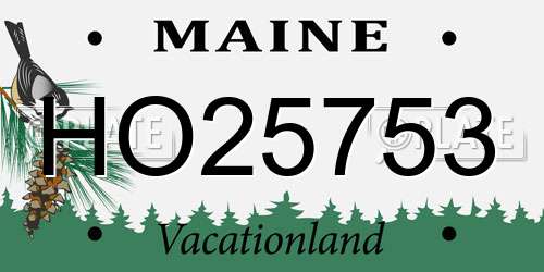 HO25753 Maine License Plate