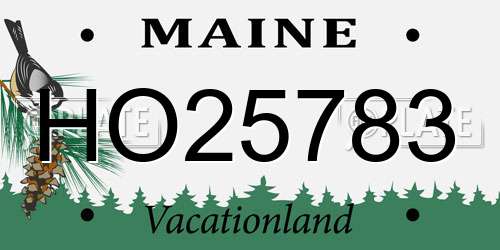 HO25783 Maine License Plate