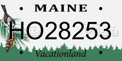 HO28253 Maine License Plate