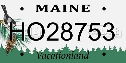 HO28753 Maine License Plate
