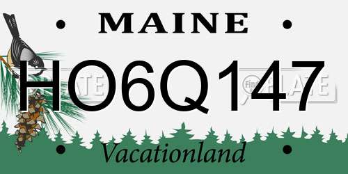 HO6Q147 Maine License Plate