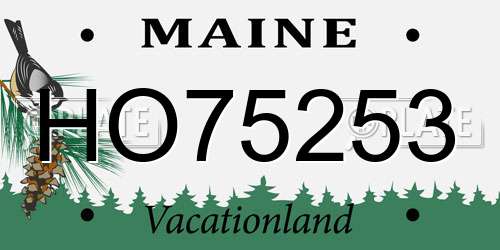 HO75253 Maine License Plate