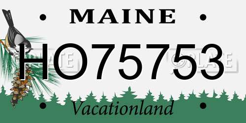 HO75753 Maine License Plate