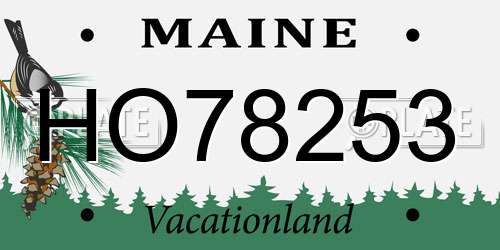 HO78253 Maine License Plate