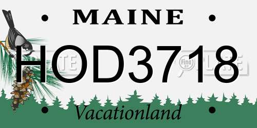 HOD3718 Maine License Plate