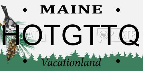 HOTGTTQ Maine License Plate