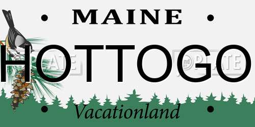 HOTTOGO Maine License Plate