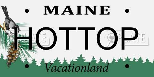 HOTTOP Maine License Plate