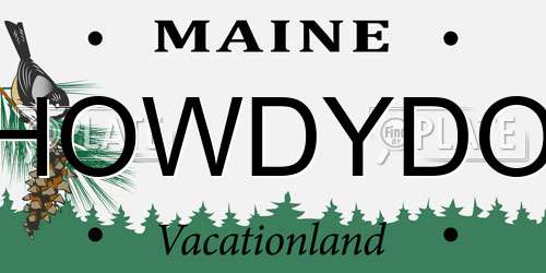 HOWDYDO Maine License Plate