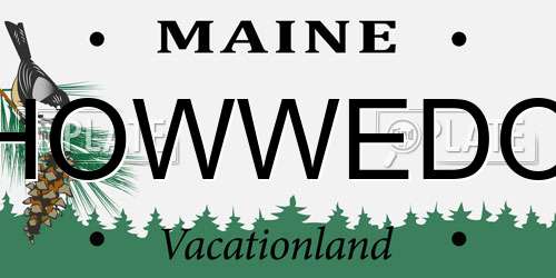 HOWWEDO Maine License Plate