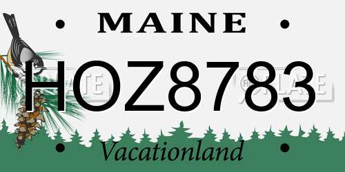 HOZ8783 Maine License Plate