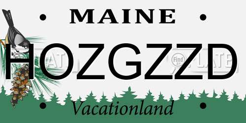 HOZGZZD Maine License Plate