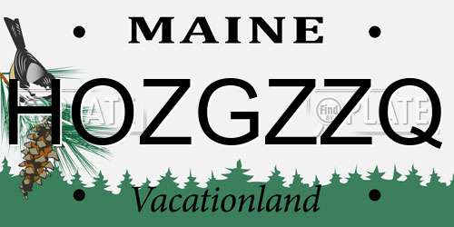 HOZGZZQ Maine License Plate