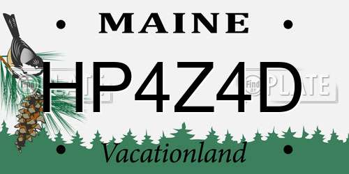 HP4Z4D Maine License Plate