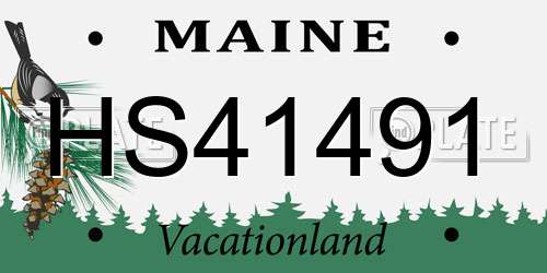HS41491 Maine License Plate