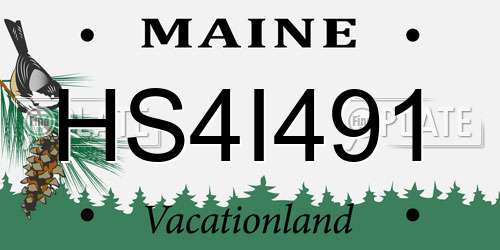HS4I491 Maine License Plate