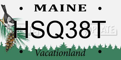 HSQ38T Maine License Plate