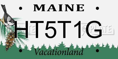 HT5T1G Maine License Plate