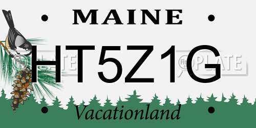 HT5Z1G Maine License Plate