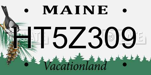 HT5Z309 Maine License Plate