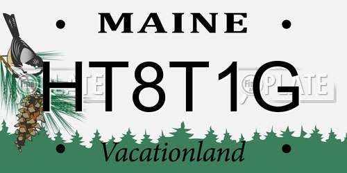 HT8T1G Maine License Plate