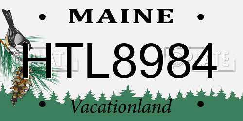 HTL8984 Maine License Plate