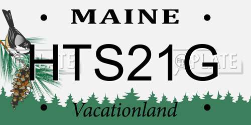 HTS21G Maine License Plate
