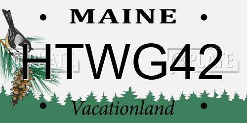 HTWG42 Maine License Plate
