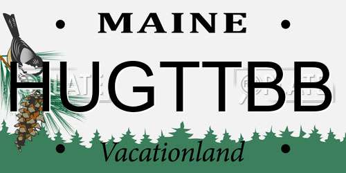 HUGTTBB Maine License Plate