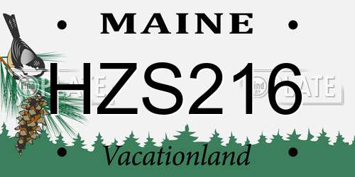 HZS216 Maine License Plate