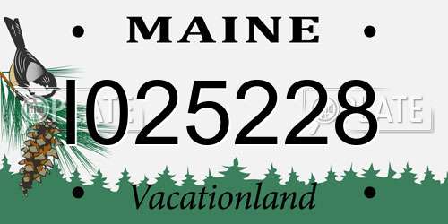 I025228 Maine License Plate