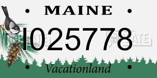 I025778 Maine License Plate