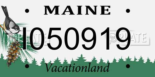 I050919 Maine License Plate