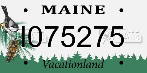I075275 Maine License Plate
