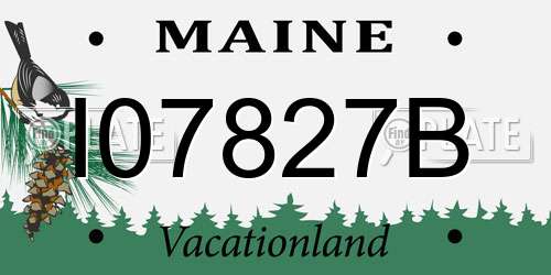 I07827B Maine License Plate