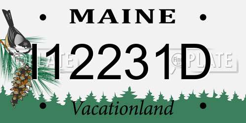I12231D Maine License Plate
