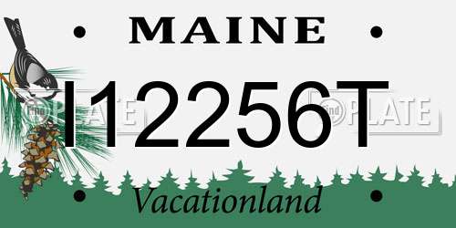 I12256T Maine License Plate