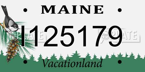 I125179 Maine License Plate