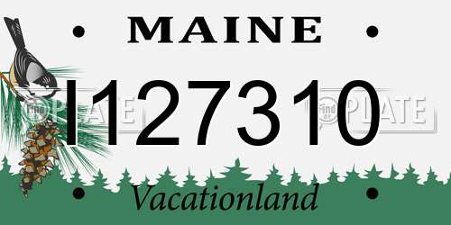 I127310 Maine License Plate
