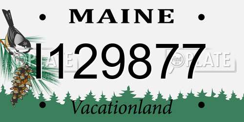I129877 Maine License Plate
