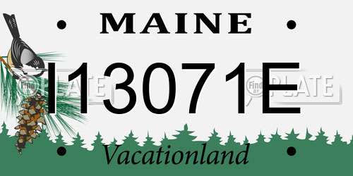 I13071E Maine License Plate