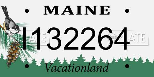 I132264 Maine License Plate
