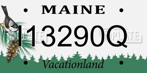 I13290Q Maine License Plate