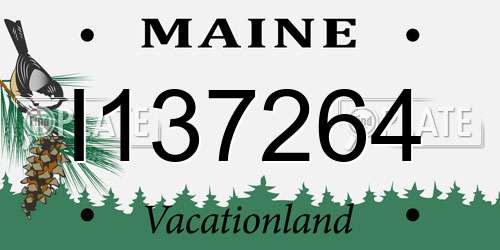 I137264 Maine License Plate