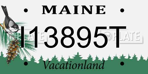 I13895T Maine License Plate