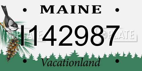 I142987 Maine License Plate