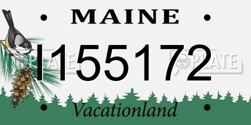 I155172 Maine License Plate
