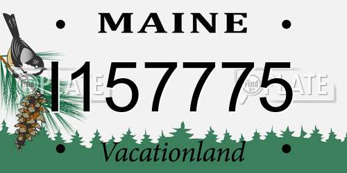 I157775 Maine License Plate