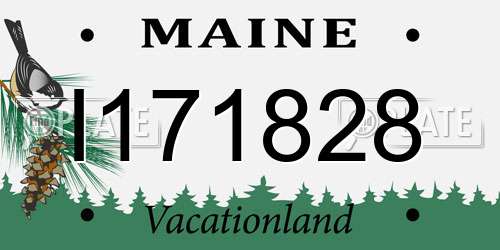 I171828 Maine License Plate